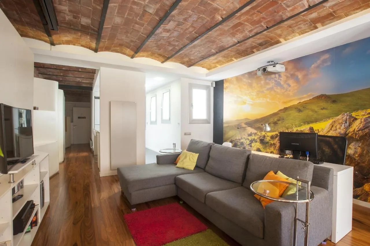 Beautiful, Bright, Spacious And Centric Loft Barcelona Spain