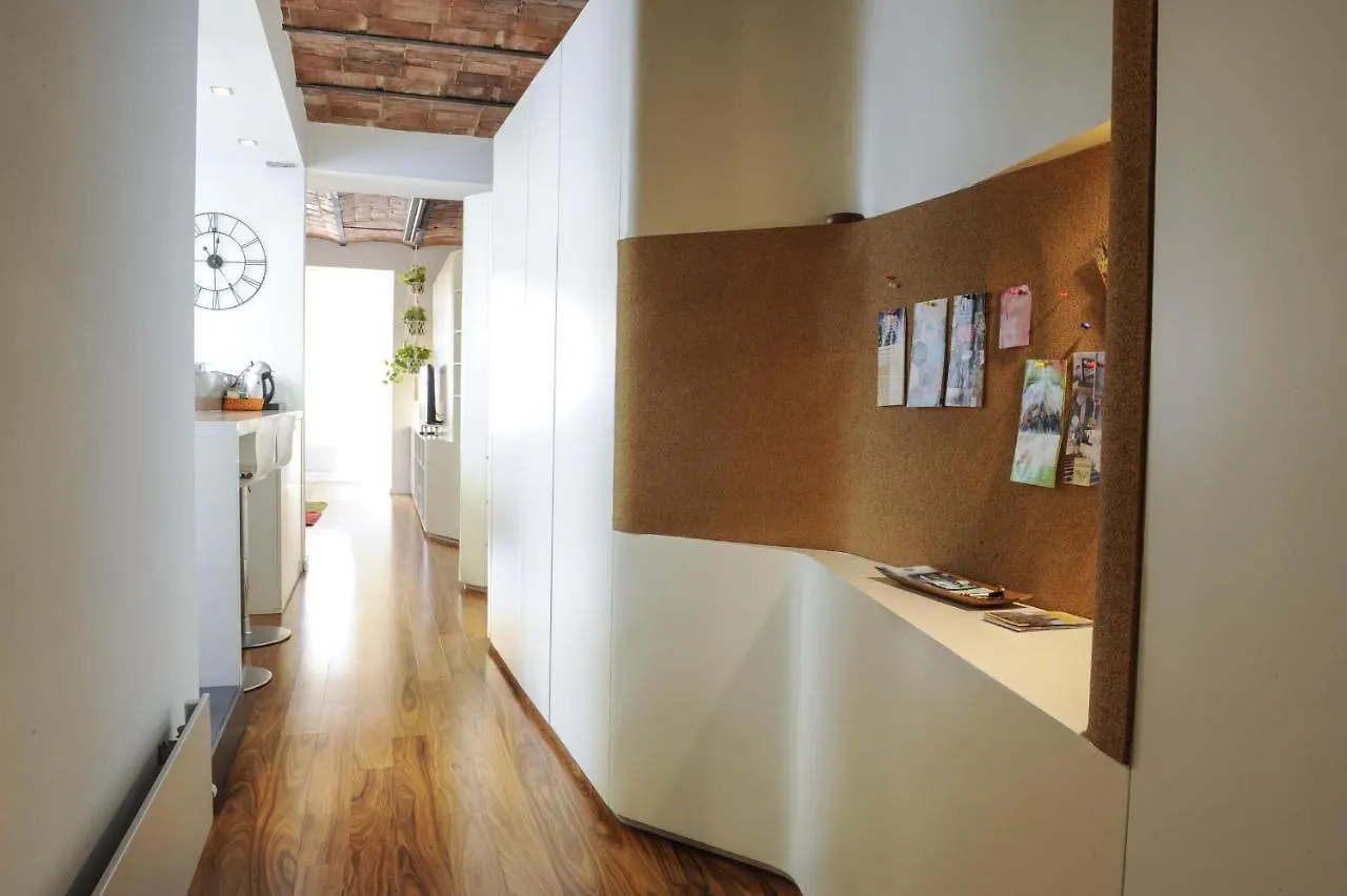 Beautiful, Bright, Spacious And Centric Loft Barcelona Apartment