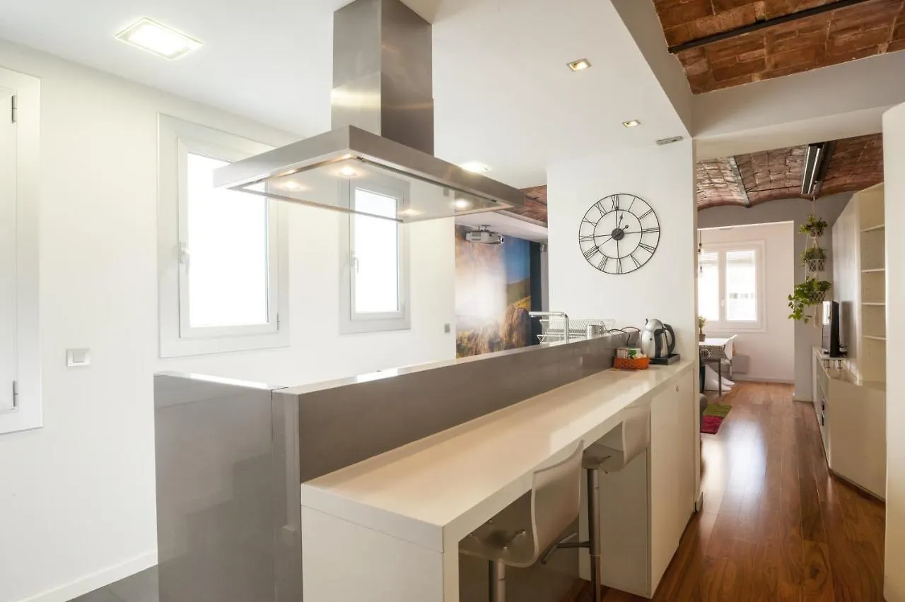 Apartment Beautiful, Bright, Spacious And Centric Loft Barcelona